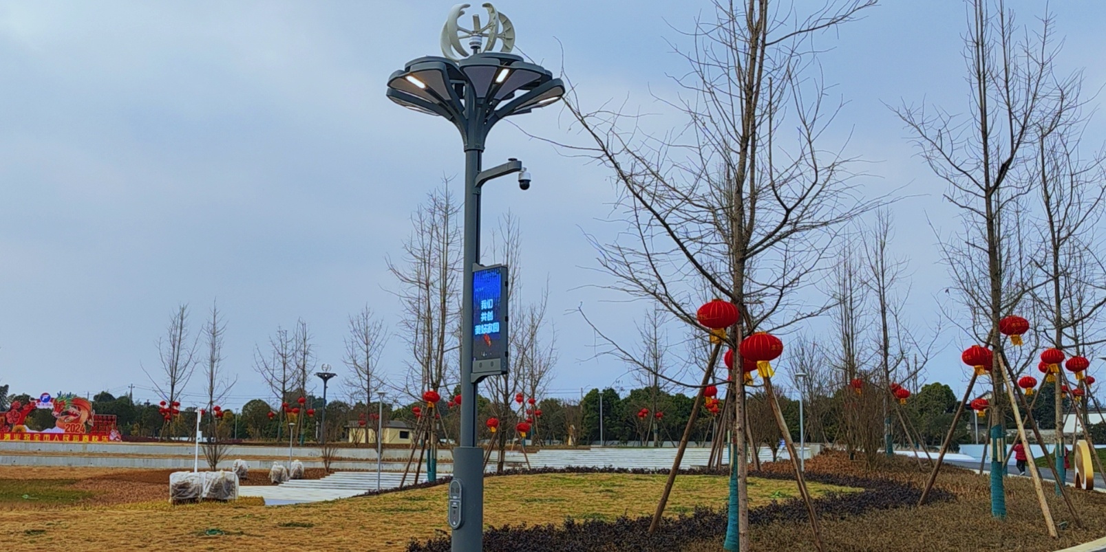 快來圍觀，種在綿竹市城北濕地公園的“智慧樹”亮燈啦